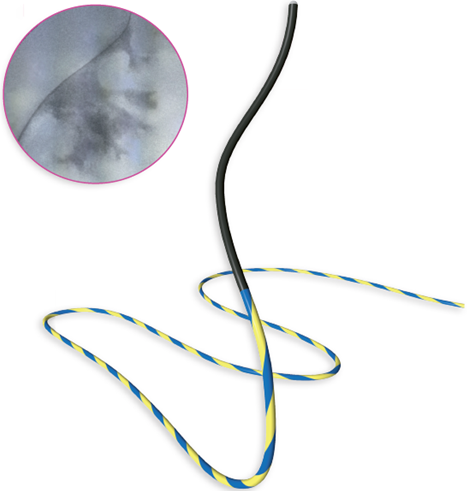 RioTracer™ Hydrophilic Guidewire Component Details