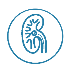 Lithotripsy Icon