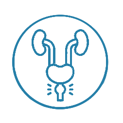 BPH Surgery Icon