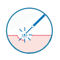 Soft Tissues Icon