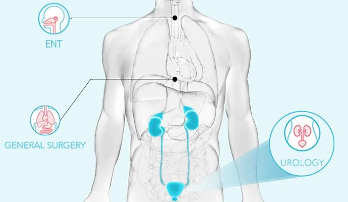 Clinical Applications